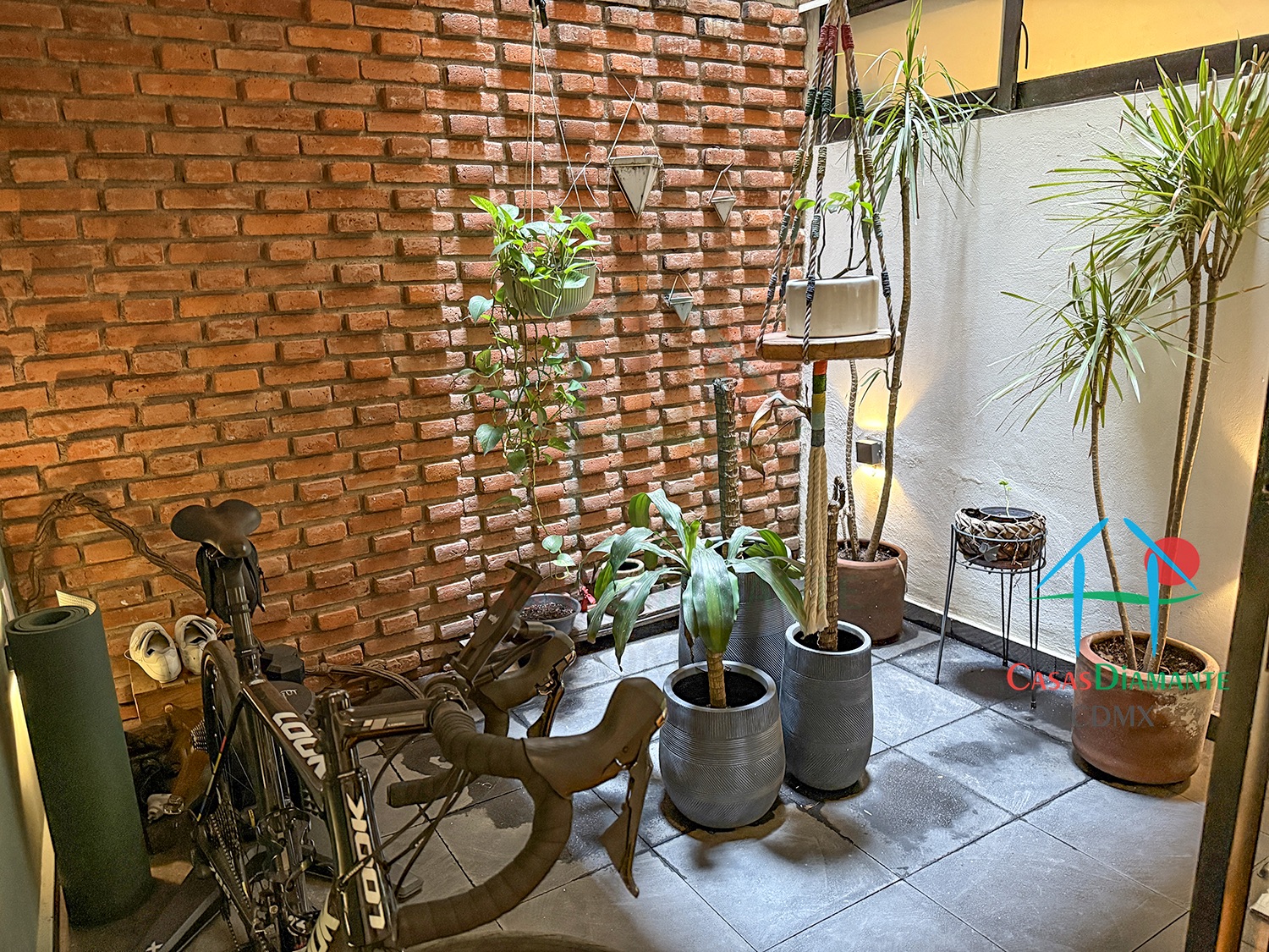 Roma Norte Departamento Orquídea - Terraza planta baja 1 Roma Norte Departamento Orquídea - Terraza planta baja 1